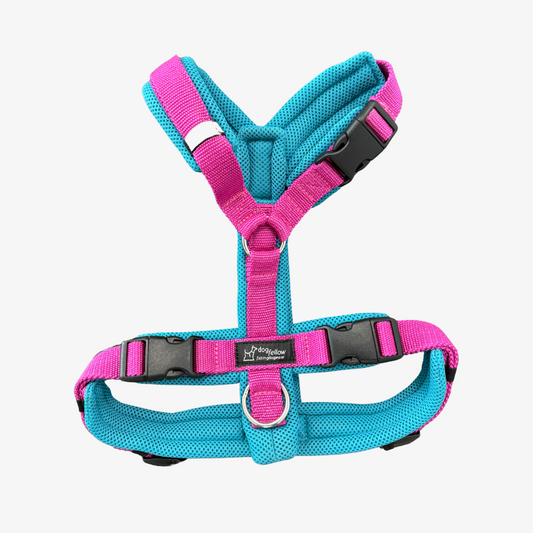 Dogfellow Easy S/M cyan/pink + breites Gurtband - Sofortkauf